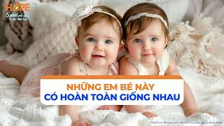 Có phải các Statin đều giống nhau