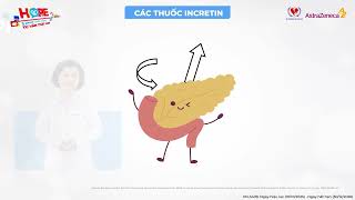 Các nhóm thuốc điều trị đái tháo đường tuýp 2