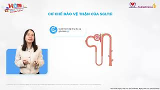 Thuốc điều trị bệnh thận mạn - xưa và nay